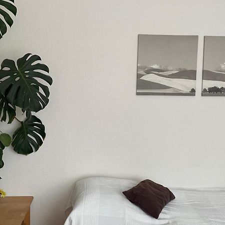 Fewo Oberhausen-Alstaden オーバーハウゼン エクステリア 写真